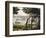 Rio Parana, Argentina-null-Framed Giclee Print