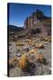 Rio Pinturas Canyon, Cave of the Hands, Patagonia, Province of Santa Cruz, Argentina-Ed Rhodes-Stretched Canvas