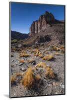 Rio Pinturas Canyon, Cave of the Hands, Patagonia, Province of Santa Cruz, Argentina-Ed Rhodes-Mounted Photographic Print