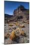 Rio Pinturas Canyon, Cave of the Hands, Patagonia, Province of Santa Cruz, Argentina-Ed Rhodes-Mounted Photographic Print