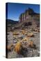 Rio Pinturas Canyon, Cave of the Hands, Patagonia, Province of Santa Cruz, Argentina-Ed Rhodes-Stretched Canvas