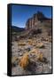 Rio Pinturas Canyon, Cave of the Hands, Patagonia, Province of Santa Cruz, Argentina-Ed Rhodes-Framed Stretched Canvas