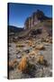 Rio Pinturas Canyon, Cave of the Hands, Patagonia, Province of Santa Cruz, Argentina-Ed Rhodes-Stretched Canvas