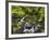 Rio Silveira, Moss-Covered Stones, Caldeirao Verde, Queimados, Madeira, Portugal-Rainer Mirau-Framed Photographic Print