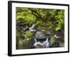 Rio Silveira, Moss-Covered Stones, Caldeirao Verde, Queimados, Madeira, Portugal-Rainer Mirau-Framed Photographic Print