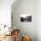 Rio-Marco Virgone-Photographic Print displayed on a wall