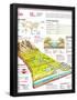 Essential Black