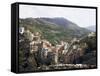 Riomaggiore, Cinque Terre, Liguria, Italy, Europe-null-Framed Stretched Canvas