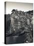 Riomaggiore, Cinque Terre, Riviera Di Levante, Liguria, Italy-Jon Arnold-Stretched Canvas