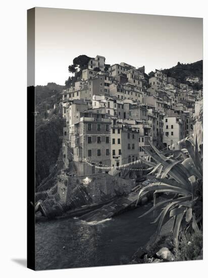 Riomaggiore, Cinque Terre, Riviera Di Levante, Liguria, Italy-Jon Arnold-Stretched Canvas