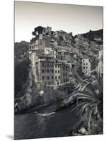 Riomaggiore, Cinque Terre, Riviera Di Levante, Liguria, Italy-Jon Arnold-Mounted Photographic Print