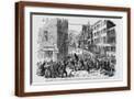 Brown Frame