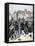 Rioting in Place Kléber, Strasbourg, 1893-null-Framed Stretched Canvas