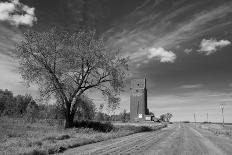 Railroad with Large Grain Stores-Rip Smith-Photographic Print
