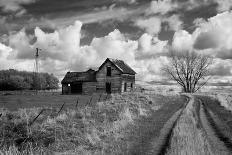 Stormy Weather in Rural Location-Rip Smith-Photographic Print
