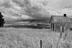 Stormy Weather in Rural Location-Rip Smith-Photographic Print