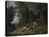 Rip Van Winkle Asleep, 1879-80-Albertus D.O Browere-Stretched Canvas