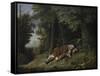 Rip Van Winkle Asleep, 1879-80-Albertus D.O Browere-Framed Stretched Canvas