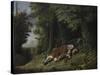 Rip Van Winkle Asleep, 1879-80-Albertus D.O Browere-Stretched Canvas