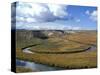 Riparian Area Near Hayden Valley, Yellowstone National Park, Wyoming, USA-Diane Johnson-Stretched Canvas