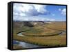 Riparian Area Near Hayden Valley, Yellowstone National Park, Wyoming, USA-Diane Johnson-Framed Stretched Canvas