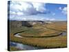 Riparian Area Near Hayden Valley, Yellowstone National Park, Wyoming, USA-Diane Johnson-Stretched Canvas