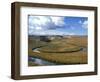 Riparian Area Near Hayden Valley, Yellowstone National Park, Wyoming, USA-Diane Johnson-Framed Photographic Print