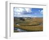 Riparian Area Near Hayden Valley, Yellowstone National Park, Wyoming, USA-Diane Johnson-Framed Photographic Print