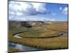 Riparian Area Near Hayden Valley, Yellowstone National Park, Wyoming, USA-Diane Johnson-Mounted Photographic Print