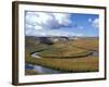 Riparian Area Near Hayden Valley, Yellowstone National Park, Wyoming, USA-Diane Johnson-Framed Photographic Print