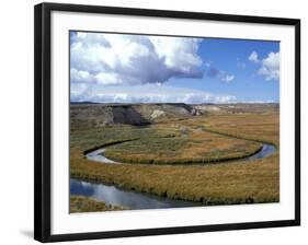 Riparian Area Near Hayden Valley, Yellowstone National Park, Wyoming, USA-Diane Johnson-Framed Photographic Print