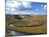 Riparian Area Near Hayden Valley, Yellowstone National Park, Wyoming, USA-Diane Johnson-Mounted Photographic Print