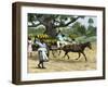 Ripe Bananas Brought to the Wharf, Annatto Bay, Jamaica, 1880s-null-Framed Giclee Print
