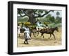 Ripe Bananas Brought to the Wharf, Annatto Bay, Jamaica, 1880s-null-Framed Giclee Print