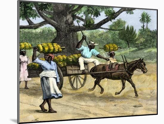 Ripe Bananas Brought to the Wharf, Annatto Bay, Jamaica, 1880s-null-Mounted Giclee Print