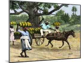 Ripe Bananas Brought to the Wharf, Annatto Bay, Jamaica, 1880s-null-Mounted Giclee Print