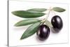 Ripe Black Olives with Leaves on a White Background-Volff-Stretched Canvas