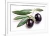 Ripe Black Olives with Leaves on a White Background-Volff-Framed Photographic Print