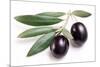 Ripe Black Olives with Leaves on a White Background-Volff-Mounted Photographic Print