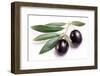 Ripe Black Olives with Leaves on a White Background-Volff-Framed Photographic Print