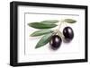 Ripe Black Olives with Leaves on a White Background-Volff-Framed Photographic Print