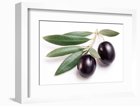 Ripe Black Olives with Leaves on a White Background-Volff-Framed Photographic Print