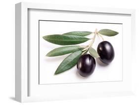 Ripe Black Olives with Leaves on a White Background-Volff-Framed Photographic Print