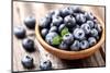 Ripe Blueberry in a Wooden Plate-dionisvera-Mounted Photographic Print