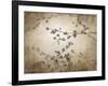 Ripe Cherry Tree-Kari Taylor-Framed Giclee Print