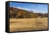 Ripe Cornfield and Barn in Brown County, Indiana, USA-Chuck Haney-Framed Stretched Canvas