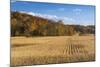 Ripe Cornfield and Barn in Brown County, Indiana, USA-Chuck Haney-Mounted Photographic Print