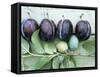 Ripe Damsons and Green Damsons on Branch-Luzia Ellert-Framed Stretched Canvas