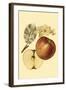 Ripe for Harvest I-Heinrich Pfeiffer-Framed Art Print