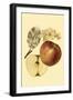 Ripe for Harvest I-Heinrich Pfeiffer-Framed Art Print